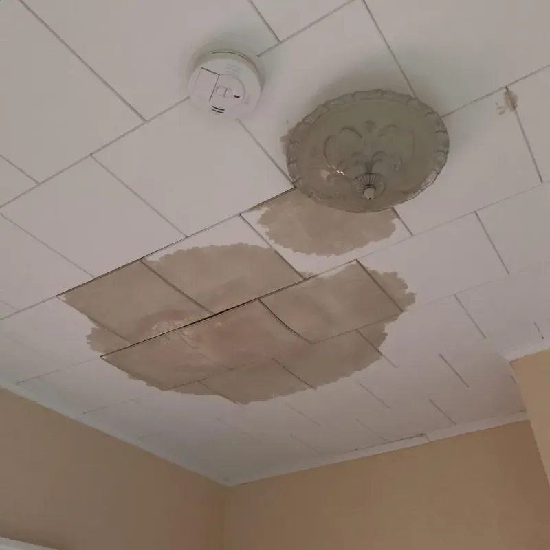 Ceiling Water Damage Repair in Mena, AR