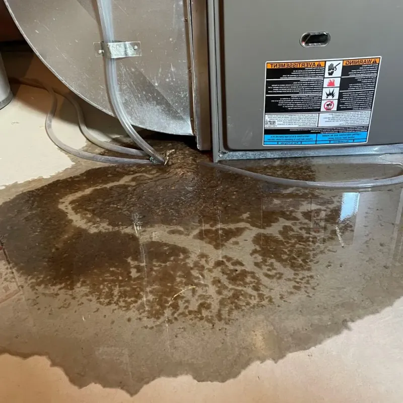 Pipe Burst and Leak Restoration in Mena, AR