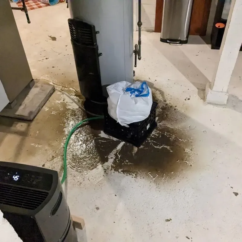 Sewage Backup Cleanup Service in Mena, AR